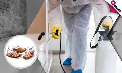 Pest Control Services!